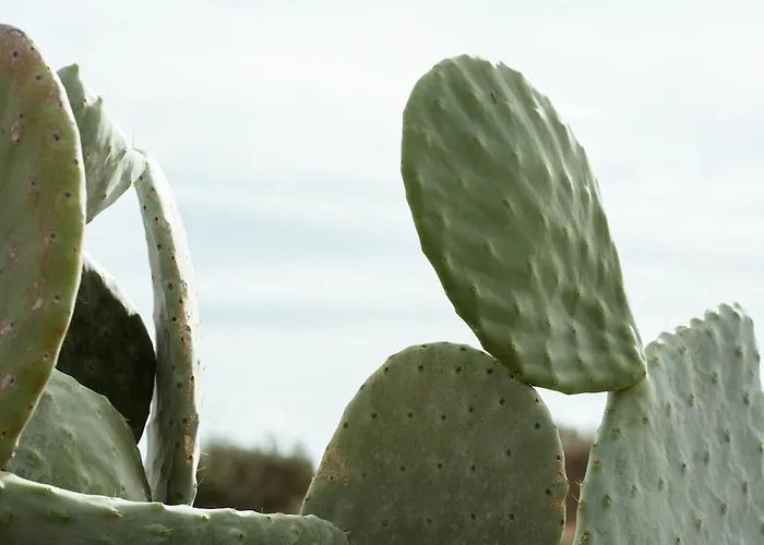 Kyma Paros Horizon Lux Lägenhet Kampos (Paros)